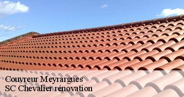 Les travaux de démoussage de la toiture à Meyrargues
