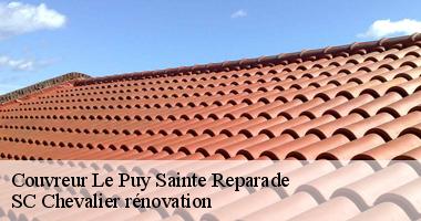 Les travaux de démoussage de la toiture à Le Puy Sainte Reparade