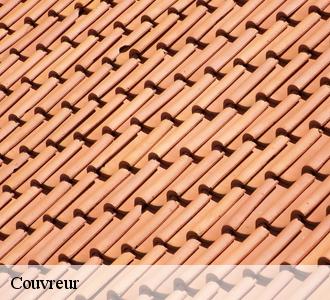 Des travaux de couverture sur tous types de toit à Carnoux En Provence et ses environs