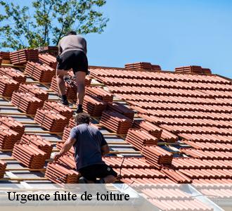 La prévention des chutes d'éléments de la toiture en cas d'urgence de fuites de toit à Aix En Provence