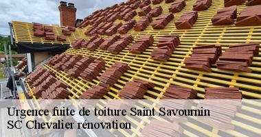 Toutes les informations à savoir pour les urgences des fuites de toit à Saint Savournin