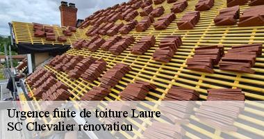 Tout ce qu'il faut savoir sur les travaux d'urgence pour les fuites de toit à Laure