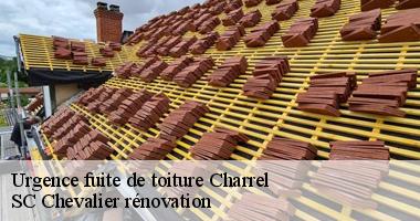 La prévention des chutes d'éléments de la toiture en cas d'urgence de fuites de toit à Charrel