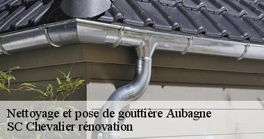 SC Chevalier rénovation saura adapter votre gouttière en fonction du type de votre toiture