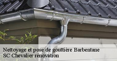 Des réparations efficaces pour tous types de gouttières à Barbentane