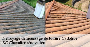Vos toits en tuiles seront parfaitement nettoyés avec SC Chevalier rénovation