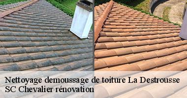 Qui peut effectuer les travaux de démoussage des toits des maisons à La Destrousse?