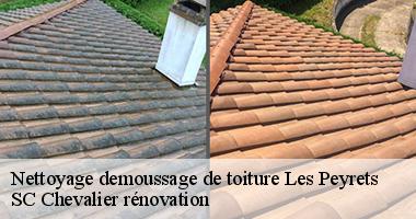 Toutes les informations à savoir sur les travaux de nettoyage et de démoussage de la toiture à Les Peyrets