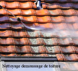La prévention des dégâts et les travaux de nettoyage des toits des maisons