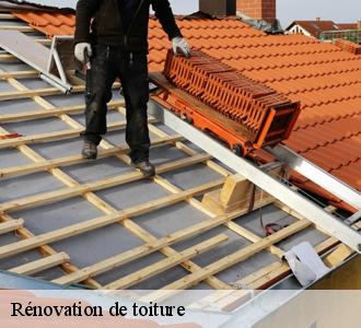 Rénovation de toiture en tuiles : Expertise dans le 13