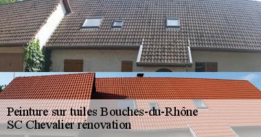 {code_postal} : Les avis clients sur SC Chevalier rénovation, expert en peinture de tuiles