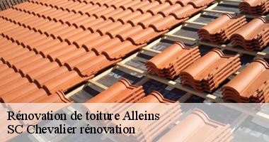 Solutions durables pour la rénovation de votre toiture à Alleins