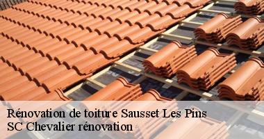 Rénovation de toiture en tuiles : Expertise à Sausset Les Pins