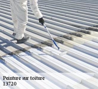 Pourquoi choisir la peinture pour votre toit à Belcodene