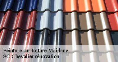 Peinture de toit : Les avantages pour votre maison à Maillane