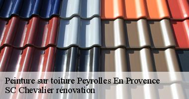 Peindre sa toiture : Une solution durable et esthétique à Peyrolles En Provence