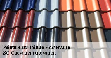 SC Chevalier rénovation : Le spécialiste de la peinture de toit à Roquevaire