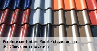 Peindre sa toiture : Une solution durable et esthétique à Saint Esteve Janson