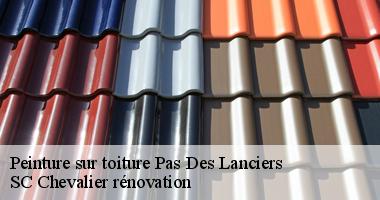 Peinture toiture : Les experts de SC Chevalier rénovation à votre service