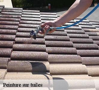 Peinture sur tuiles : Quels sont les avantages et inconvénients ?