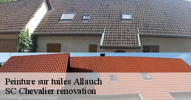 SC Chevalier rénovation dévoile les secrets d'une peinture durable pour vos tuiles à Allauch