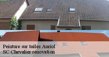 Auriol : Où trouver des experts en peinture sur tuiles ?