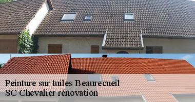 SC Chevalier rénovation vous explique comment entretenir votre toiture peinte à Beaurecueil