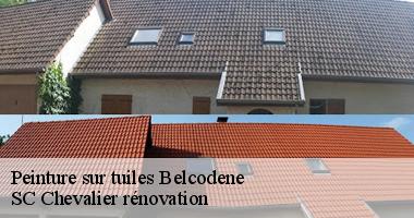 SC Chevalier rénovation dévoile les secrets d'une peinture durable pour vos tuiles à Belcodene