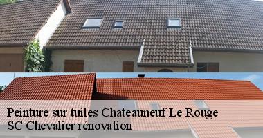 Pourquoi choisir SC Chevalier rénovation pour la peinture de vos tuiles à Chateauneuf Le Rouge ({code_postal})