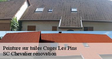 SC Chevalier rénovation : Spécialiste en peinture sur tuiles à Cuges Les Pins