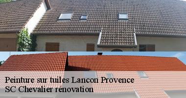 Peinture sur tuiles : Conseils et astuces pour une toiture parfaite