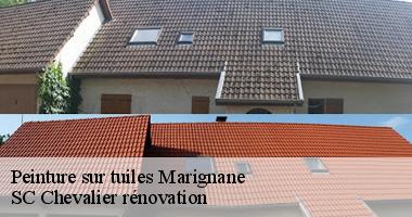 Peinture sur tuiles : Conseils et astuces pour une toiture parfaite