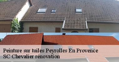 Pourquoi choisir SC Chevalier rénovation pour la peinture de vos tuiles à Peyrolles En Provence ({code_postal})