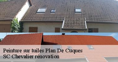 SC Chevalier rénovation : Spécialiste en peinture sur tuiles à Plan De Cuques