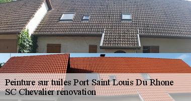 SC Chevalier rénovation : Spécialiste en peinture sur tuiles à Port Saint Louis Du Rhone