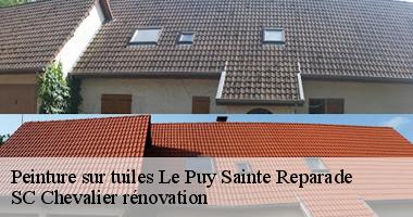 SC Chevalier rénovation vous explique comment entretenir votre toiture peinte à Le Puy Sainte Reparade