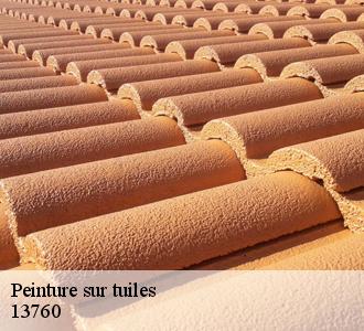 Peinture sur tuiles : Quels sont les avantages et inconvénients ?