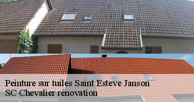 SC Chevalier rénovation : Spécialiste en peinture sur tuiles à Saint Esteve Janson