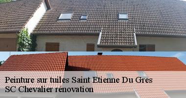 Saint Etienne Du Gres : Pourquoi opter pour une peinture écologique sur vos tuiles ?