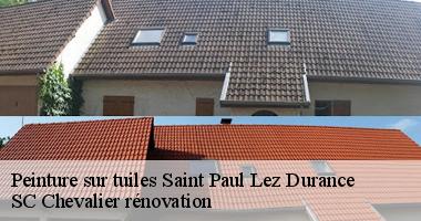 Peinture sur tuiles : Conseils et astuces pour une toiture parfaite