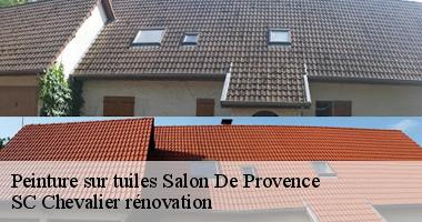 Peinture sur tuiles : Quels sont les avantages et inconvénients ?