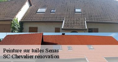 SC Chevalier rénovation dévoile les secrets d'une peinture durable pour vos tuiles à Senas