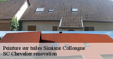 {code_postal} : Les avis clients sur SC Chevalier rénovation, expert en peinture de tuiles