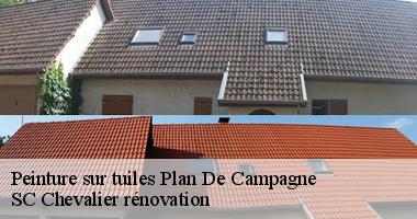 SC Chevalier rénovation vous explique comment entretenir votre toiture peinte à Plan De Campagne